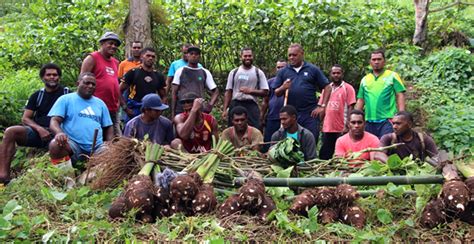 fijivillage|fijian village latest news today.